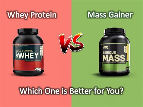 mass gainer vs whey protein|Iba pa.